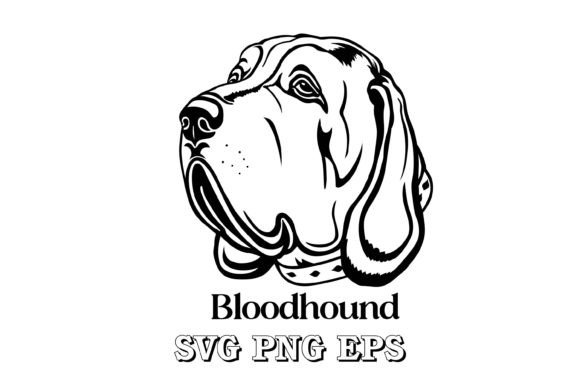 Bloodhound Dog Silhouette Breeds Face