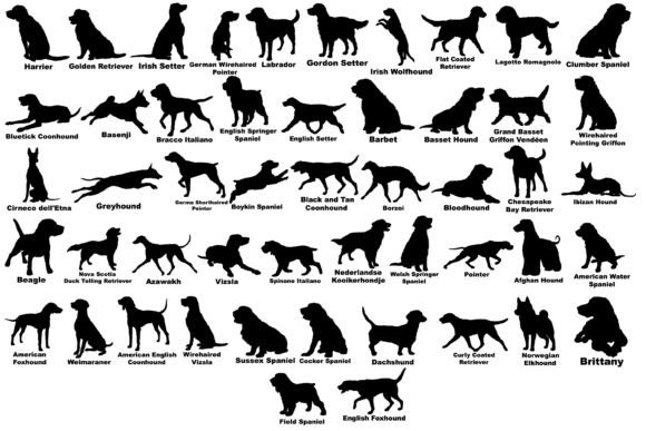 Dog Silhouette High Quality SVG: An Embroidery Designer's Review